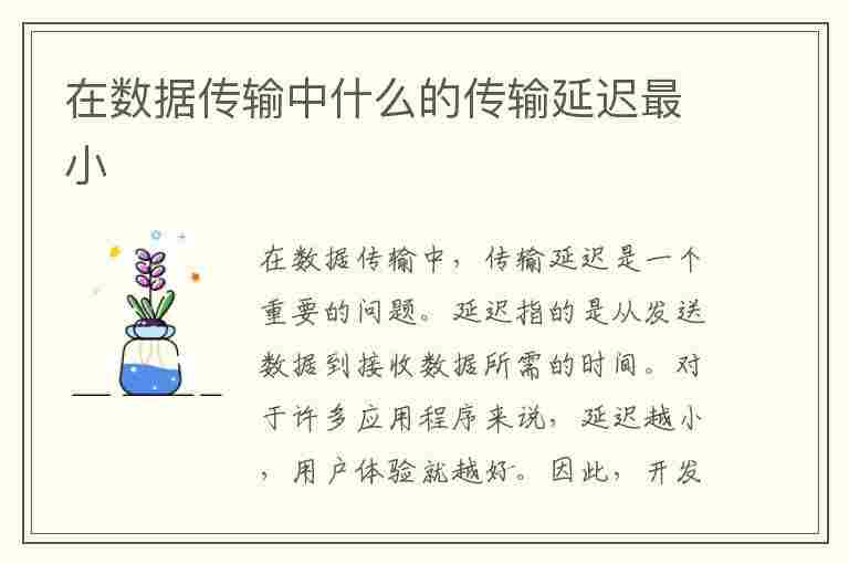 在数据传输中什么的传输延迟最小